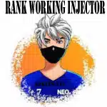 Rank Working Injector